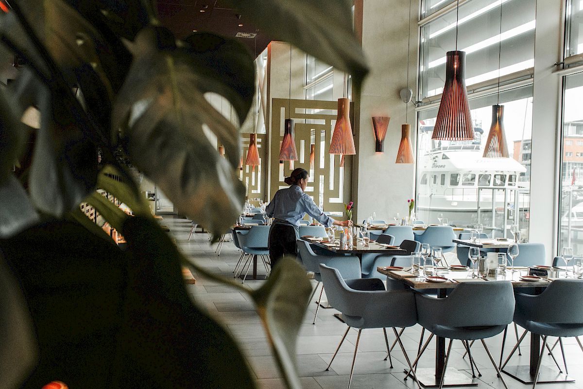 A person is arranging plates in a modern restaurant with large windows, blue chairs, and unique hanging lights, partially obscured by greenery.